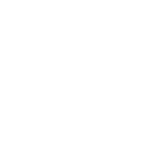 Prisma